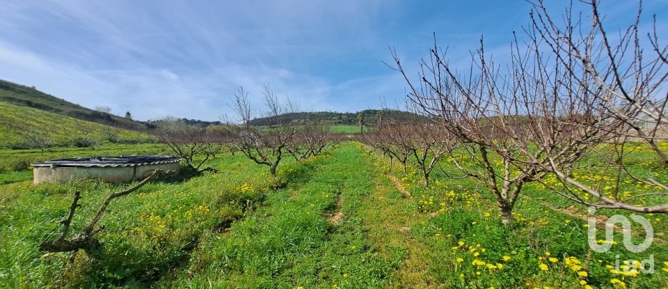 Terreno em Azueira e Sobral da Abelheira de 21 437 m²