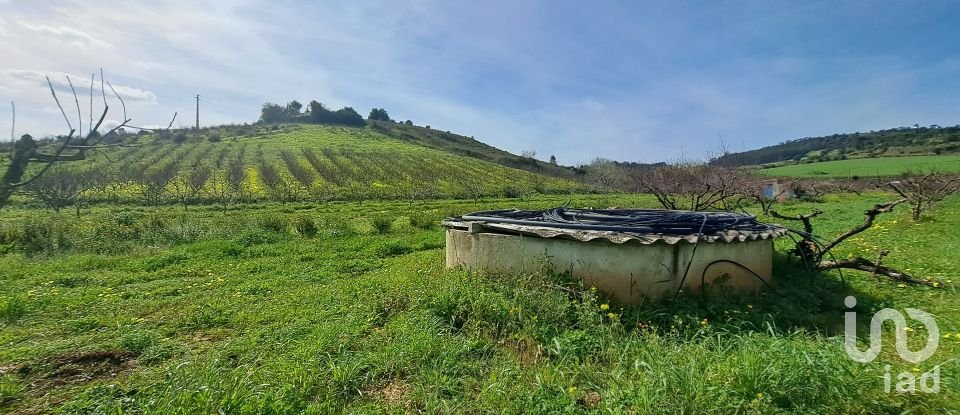 Terreno em Azueira e Sobral da Abelheira de 21 437 m²