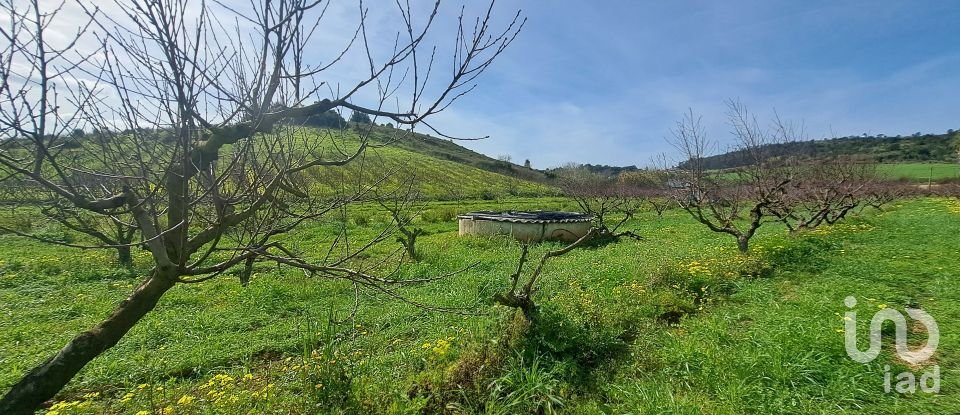 Terreno em Azueira e Sobral da Abelheira de 21 437 m²