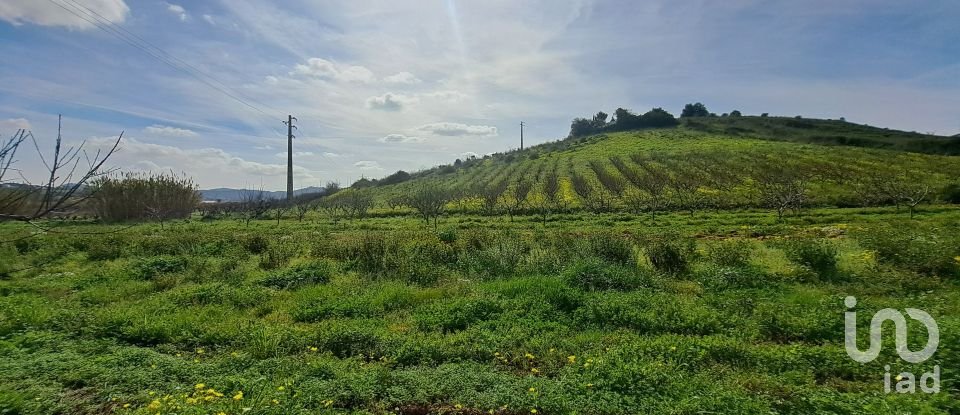 Terreno em Azueira e Sobral da Abelheira de 21 437 m²