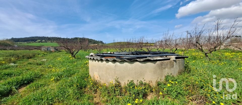 Terreno em Azueira e Sobral da Abelheira de 21 437 m²