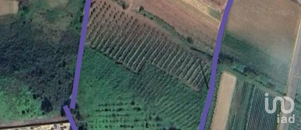 Terreno em Azueira e Sobral da Abelheira de 21 437 m²