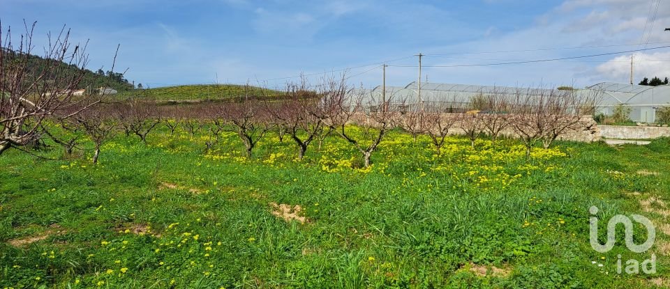 Terreno em Azueira e Sobral da Abelheira de 21 437 m²