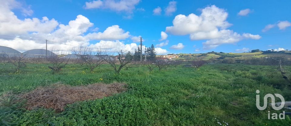 Terreno em Azueira e Sobral da Abelheira de 21 437 m²