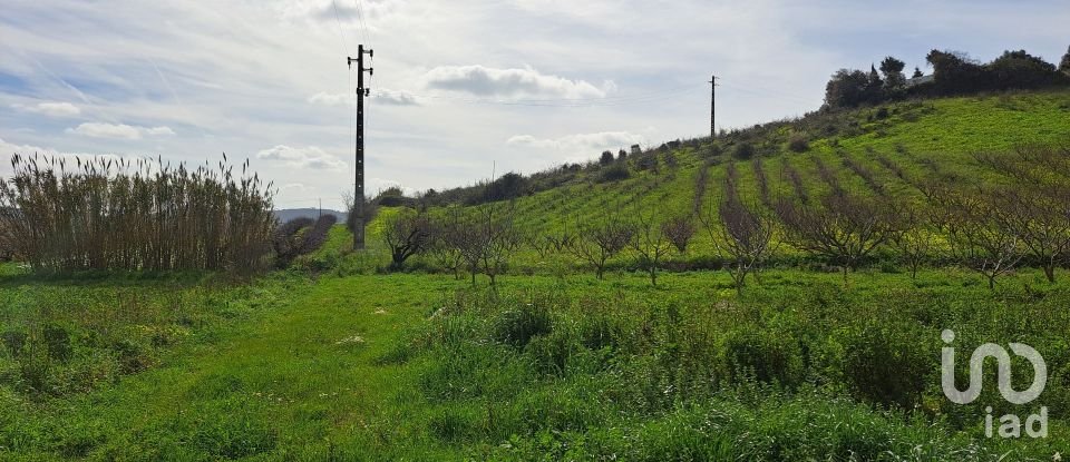 Terreno em Azueira e Sobral da Abelheira de 21 437 m²