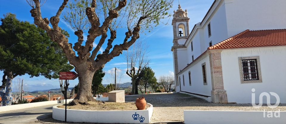 Terreno em Azueira e Sobral da Abelheira de 21 437 m²