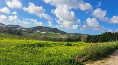 Land in Azueira e Sobral da Abelheira of 64,560 m²