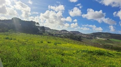 Land in Azueira e Sobral da Abelheira of 64,560 m²