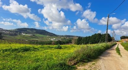 Land in Azueira e Sobral da Abelheira of 64,560 m²