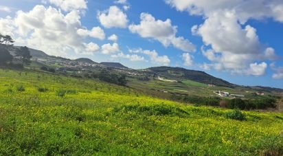 Land in Azueira e Sobral da Abelheira of 64,560 m²