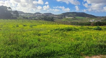 Land in Azueira e Sobral da Abelheira of 64,560 m²