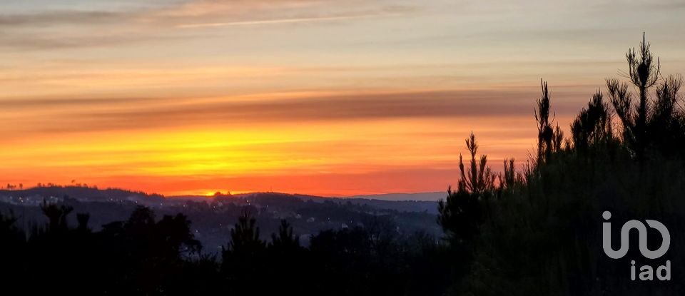 Quinta T3 em Oliveira do Hospital e São Paio de Gramaços de 273 m²
