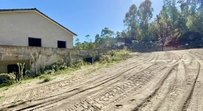 Gîte T3 à Forjães de 530 m²