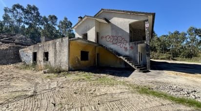 Gîte T3 à Forjães de 530 m²