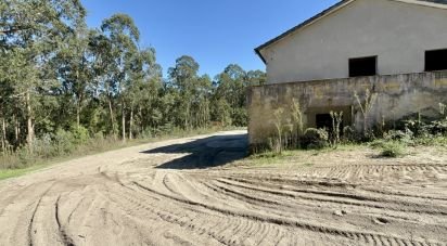 Gîte T3 à Forjães de 530 m²