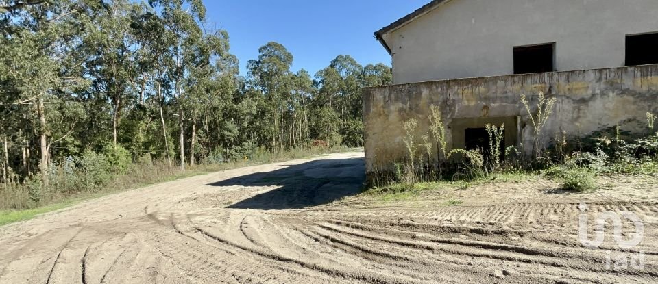 Gîte T3 à Forjães de 530 m²