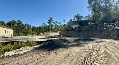 Gîte T3 à Forjães de 530 m²