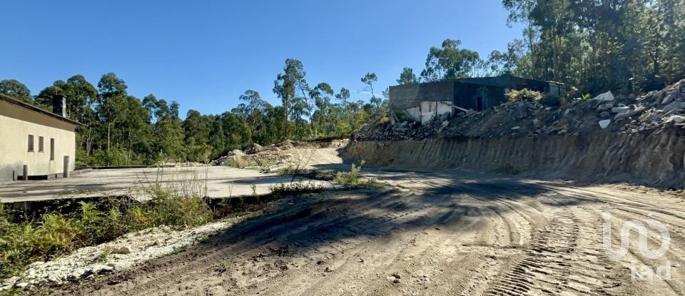 Gîte T3 à Forjães de 530 m²