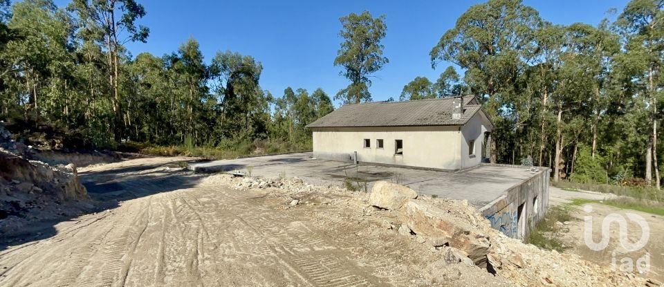 Gîte T3 à Forjães de 530 m²