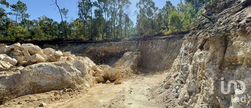 Gîte T3 à Forjães de 530 m²