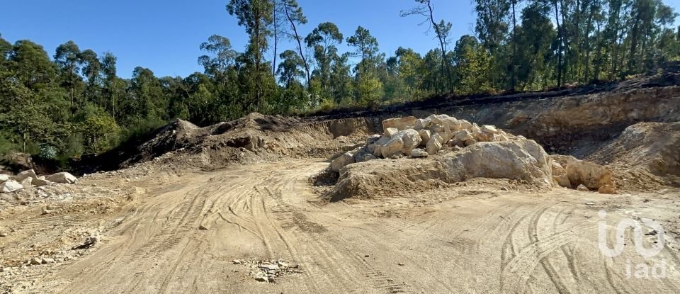 Gîte T3 à Forjães de 530 m²