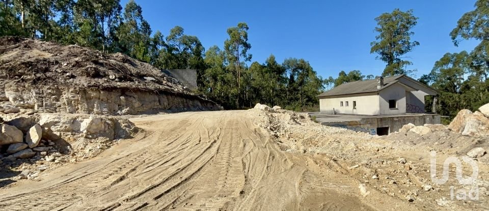 Gîte T3 à Forjães de 530 m²