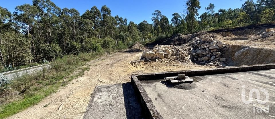 Gîte T3 à Forjães de 530 m²