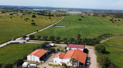 Ferme T4 à Mourão de 495 m²