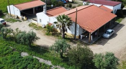 Ferme T4 à Mourão de 495 m²