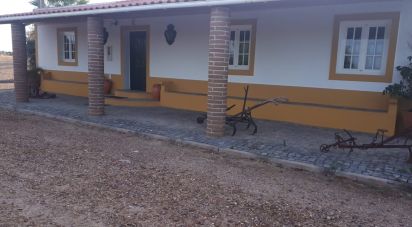 Ferme T4 à Mourão de 495 m²