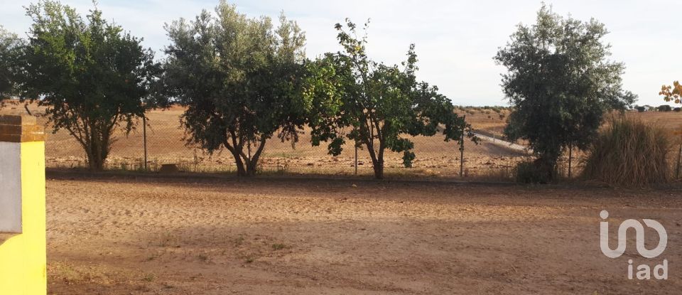 Ferme T4 à Mourão de 495 m²