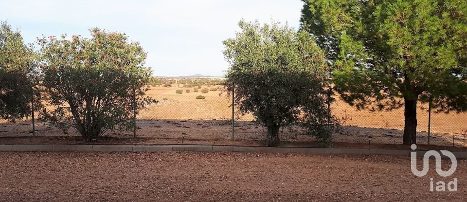 Ferme T4 à Mourão de 495 m²