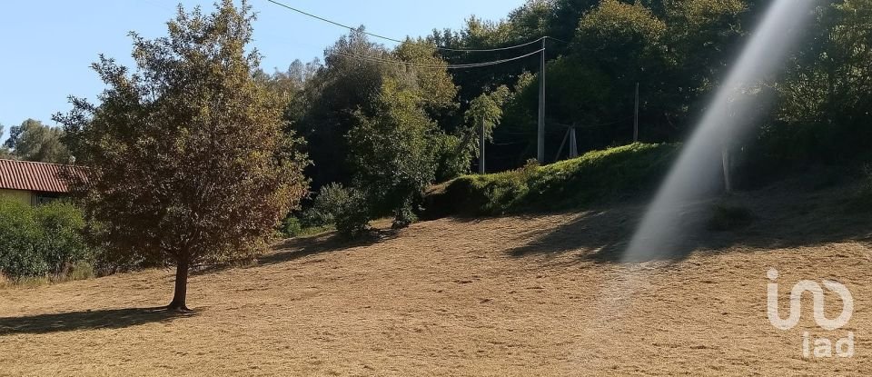 Terreno em Ribeira do Neiva de 290 m²