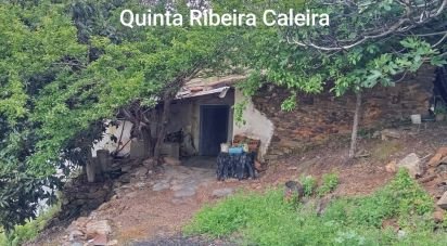 Farm T2 in Alegrete of 102 m²