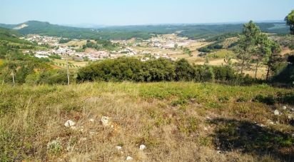 Terrain à bâtir à Pinheiro da Bemposta, Travanca e Palmaz de 1 150 m²