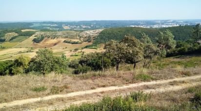 Terrain à bâtir à Pinheiro da Bemposta, Travanca e Palmaz de 1 150 m²