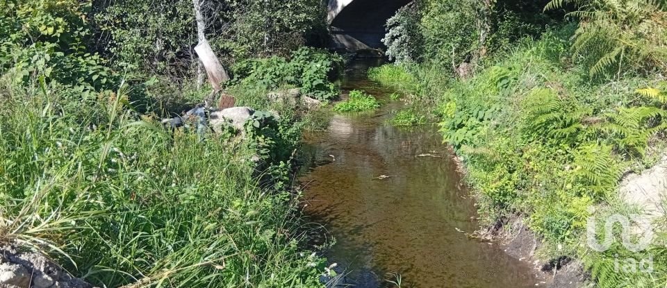 Terreno em Anais de 9 845 m²