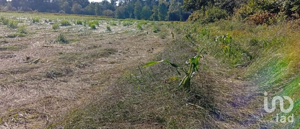 Terreno em Anais de 9 845 m²