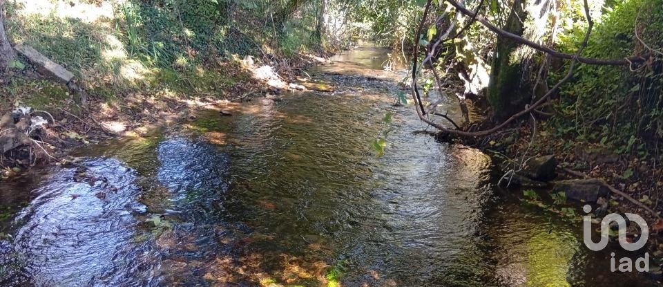 Terreno em Anais de 9 845 m²