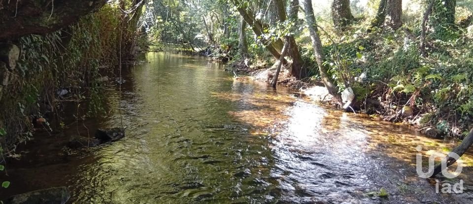 Terreno em Anais de 9 845 m²