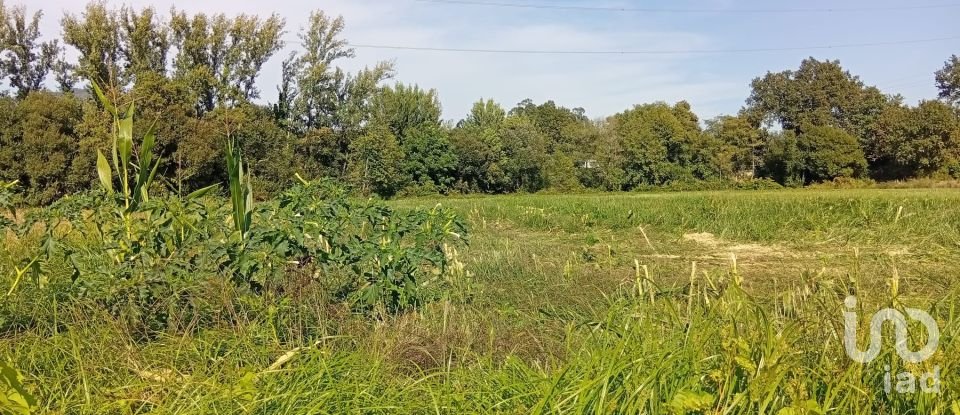 Terreno em Anais de 9 845 m²