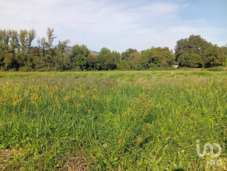 Terreno em Anais de 9 845 m²