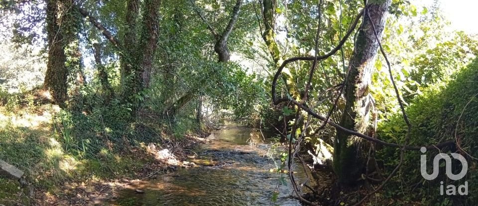 Terreno em Anais de 9 845 m²