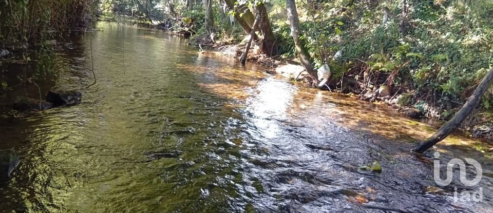 Terreno em Anais de 9 845 m²