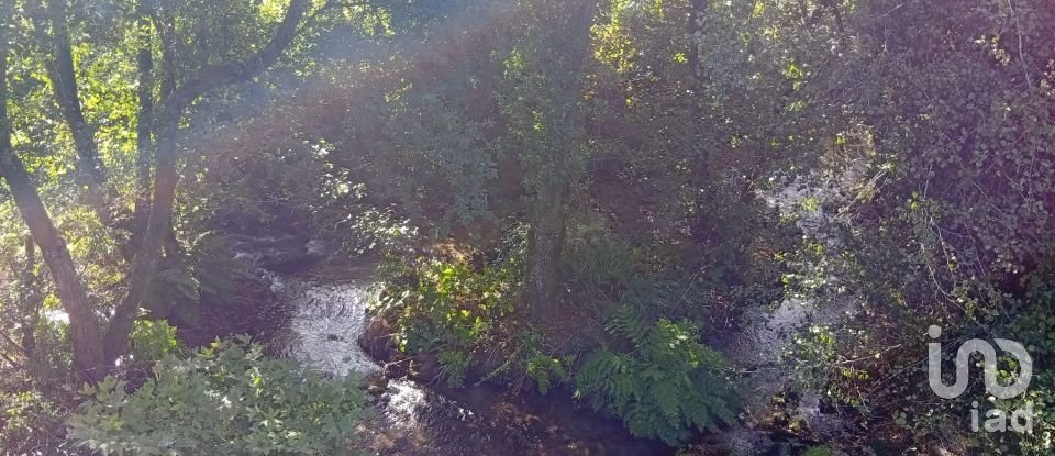 Terreno em Anais de 9 845 m²