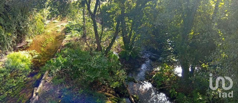 Terreno em Anais de 9 845 m²