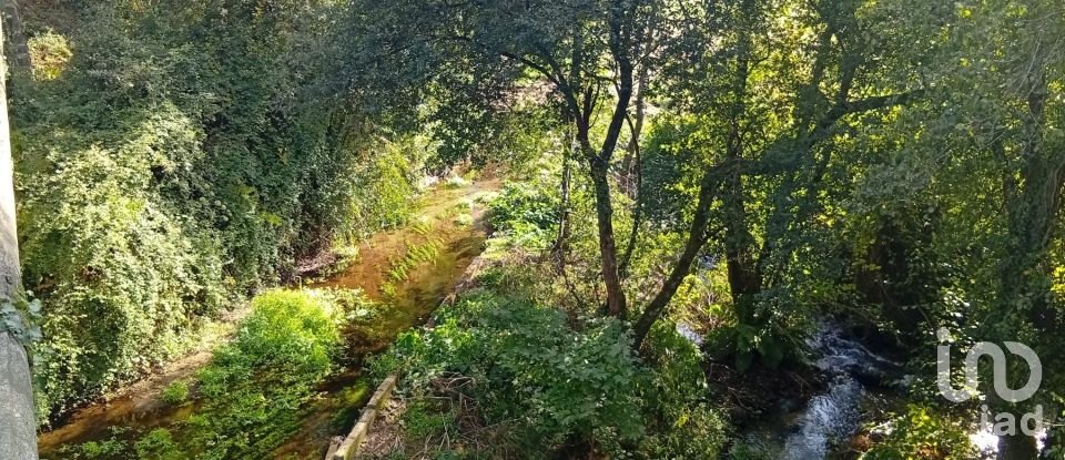 Terreno em Anais de 9 845 m²