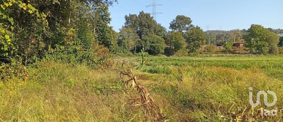 Terreno em Anais de 9 845 m²