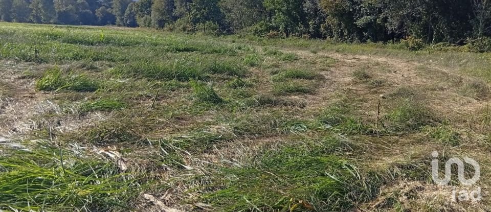 Terreno em Anais de 9 845 m²