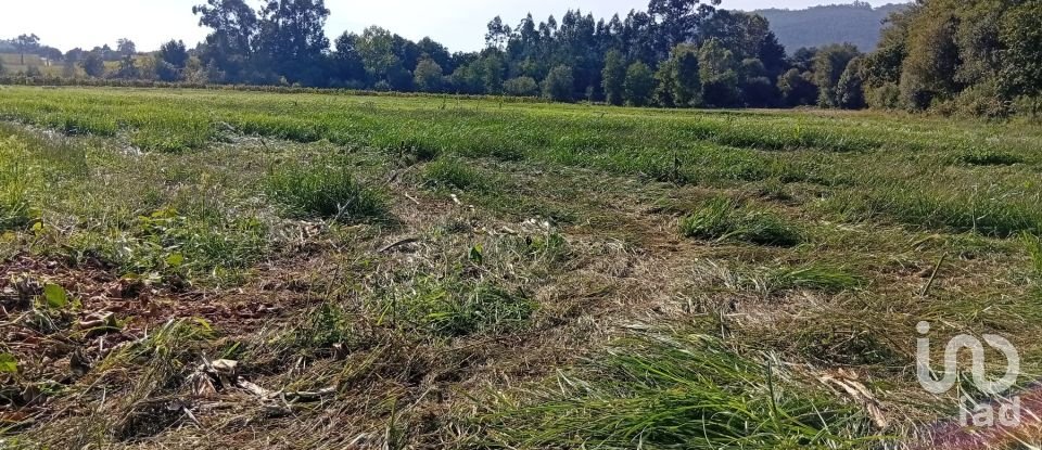 Terreno em Anais de 9 845 m²